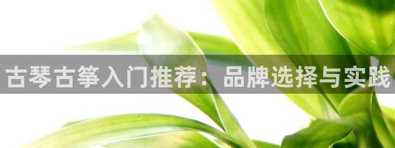 凯发国际平台官网：古琴古筝入门推荐：品牌选择与实践
