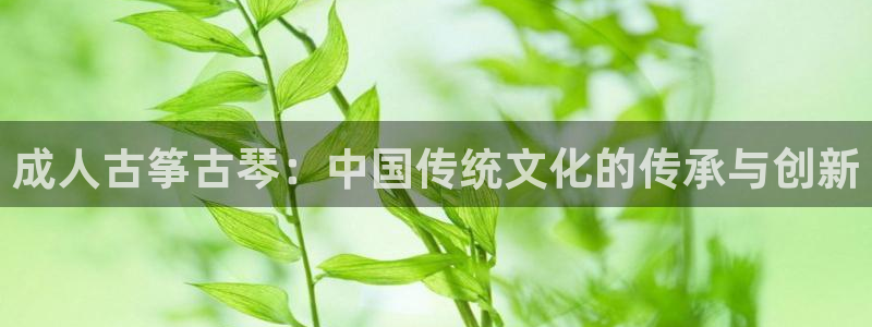 凯发k8ag85856：成人古筝古琴：中国传统文化的传承与创