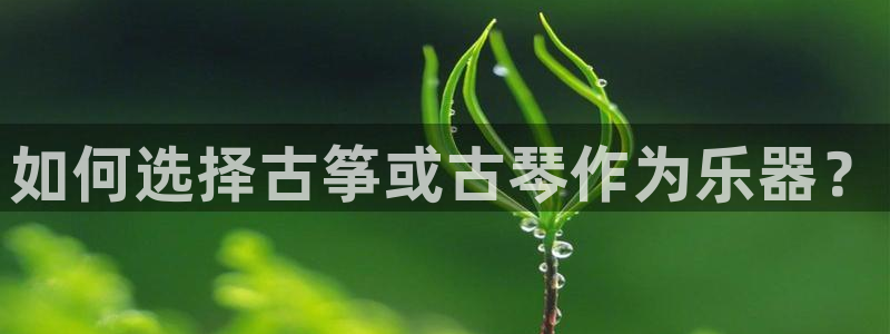 凯发在线官网登录下载：如何选择古筝或古琴作为乐器？