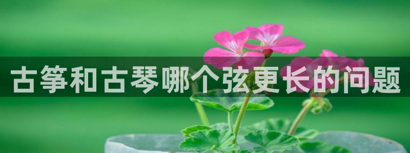 凯发K8登录入口：古筝和古琴哪个弦更长的问题