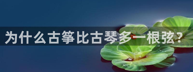 凯发k8官网下载客户端中心：为什么古筝比古琴多一根弦？