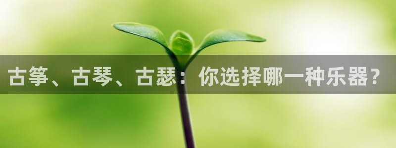 凯发k8ag85856：古筝、古琴、古瑟：你选择哪一种乐器？