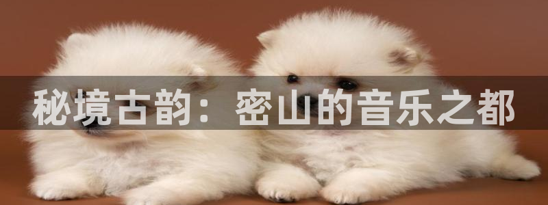 凯发k8官方网娱乐官方：秘境古韵：密山的音乐之都