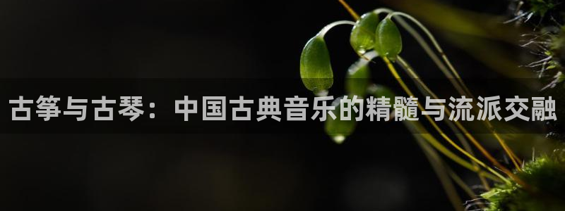 凯发国际网址官网查询