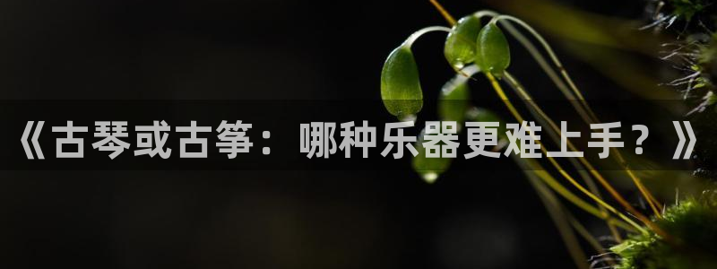 凯发国际亚洲有限公司