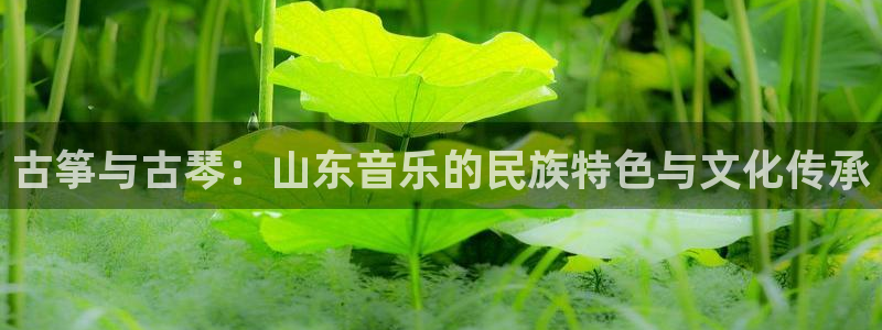 凯发k8娱乐是什么平台