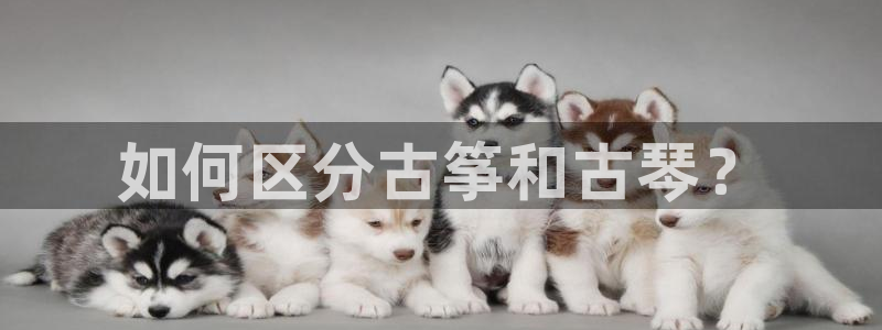 凯发k8555|手机版