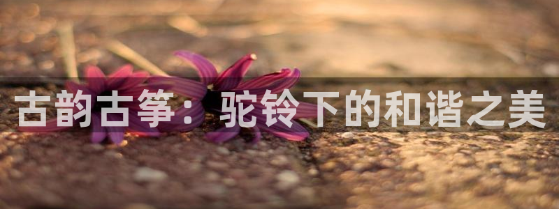 凯发k8国际版官网