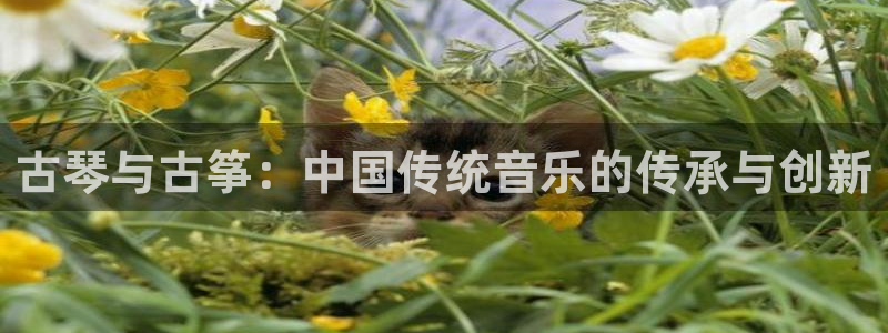 凯发线上app苹果版下载