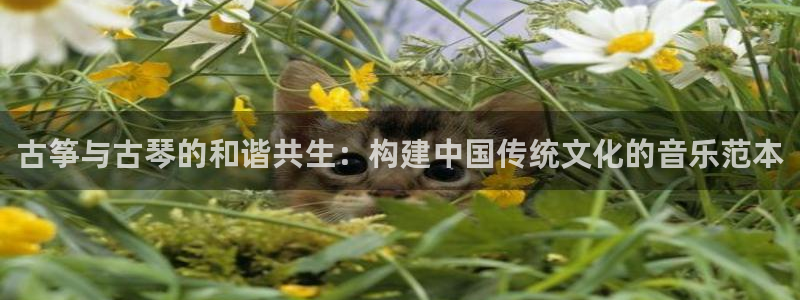 凯发k8全球公开加盟