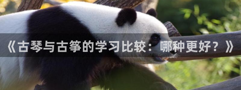 凯发k8手机是正品吗知乎