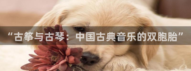 凯发最新官方app下载